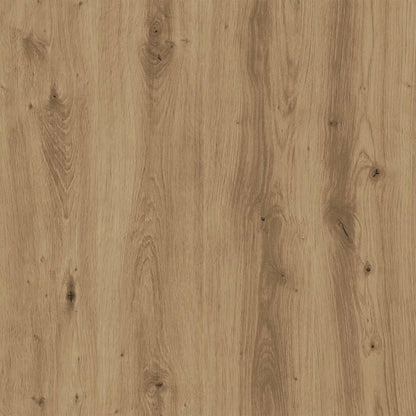 Schuhregal Artisan-Eiche 60x25x62 cm Holzwerkstoff